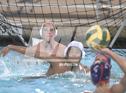 Thumbnail 1 in Great Oak vs Chaparral photogallery.