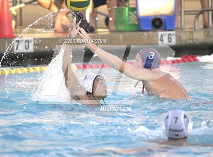 Thumbnail 3 in Great Oak vs Chaparral photogallery.