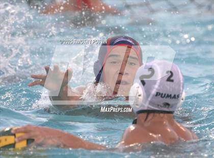 Thumbnail 1 in Great Oak vs Chaparral photogallery.
