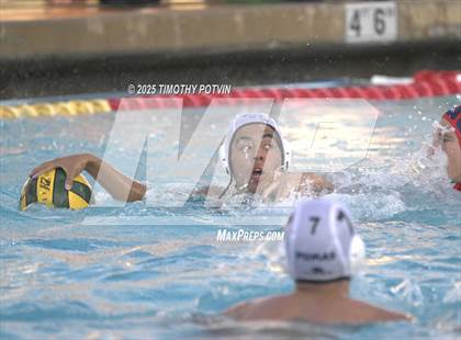 Thumbnail 2 in Great Oak vs Chaparral photogallery.