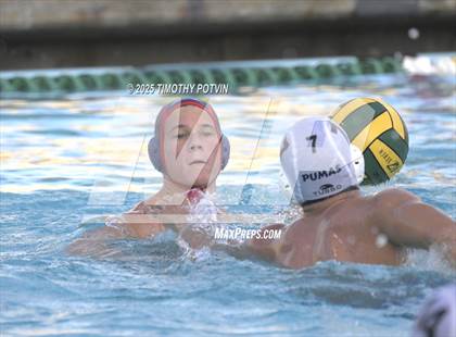 Thumbnail 3 in Great Oak vs Chaparral photogallery.