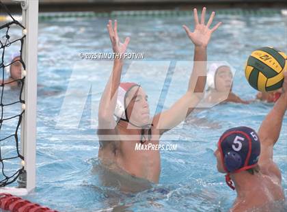 Thumbnail 2 in Great Oak vs Chaparral photogallery.
