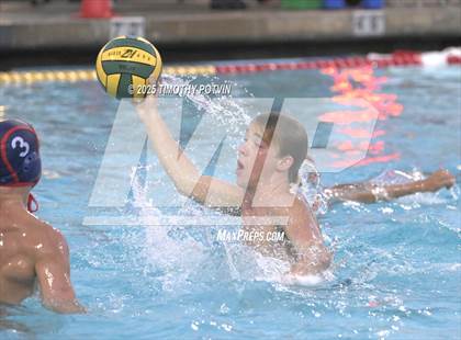Thumbnail 2 in Great Oak vs Chaparral photogallery.