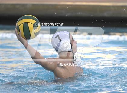 Thumbnail 1 in Great Oak vs Chaparral photogallery.