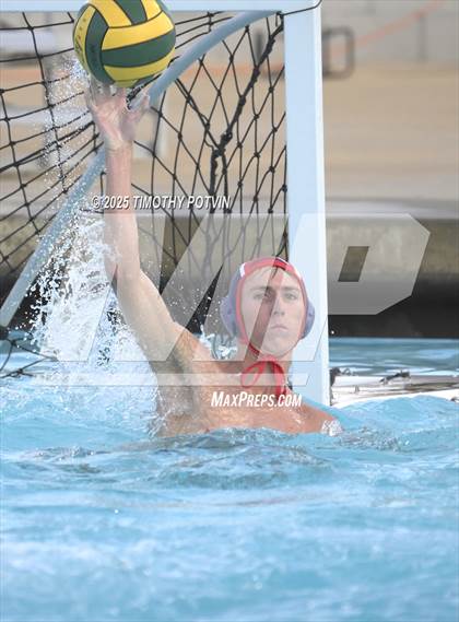 Thumbnail 1 in Great Oak vs Chaparral photogallery.