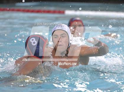 Thumbnail 1 in Great Oak vs Chaparral photogallery.