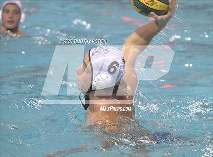 Thumbnail 1 in Great Oak vs Chaparral photogallery.