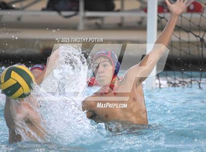 Thumbnail 1 in Great Oak vs Chaparral photogallery.