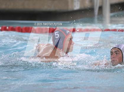 Thumbnail 1 in Great Oak vs Chaparral photogallery.