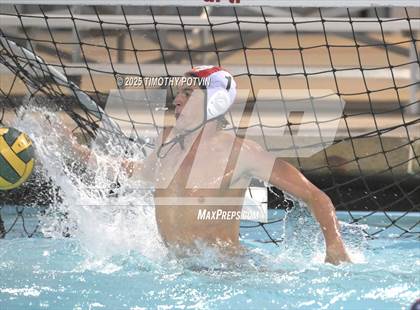 Thumbnail 1 in Great Oak vs Chaparral photogallery.
