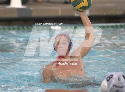 Thumbnail 2 in Great Oak vs Chaparral photogallery.