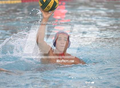 Thumbnail 1 in Great Oak vs Chaparral photogallery.