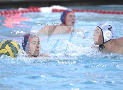 Thumbnail 2 in Great Oak vs Chaparral photogallery.