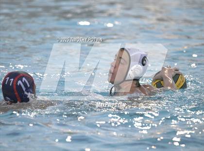 Thumbnail 1 in Great Oak vs Chaparral photogallery.