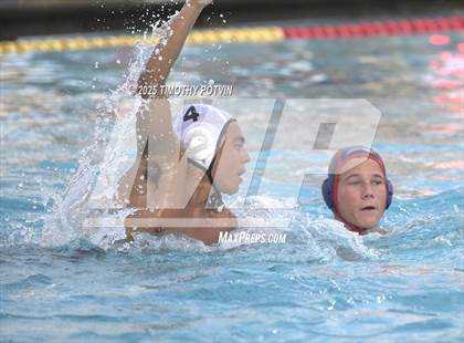 Thumbnail 2 in Great Oak vs Chaparral photogallery.