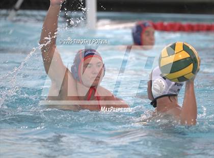 Thumbnail 1 in Great Oak vs Chaparral photogallery.