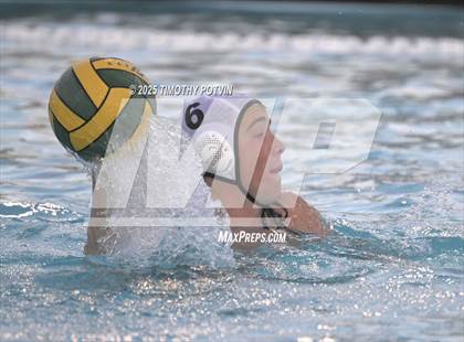 Thumbnail 2 in Great Oak vs Chaparral photogallery.