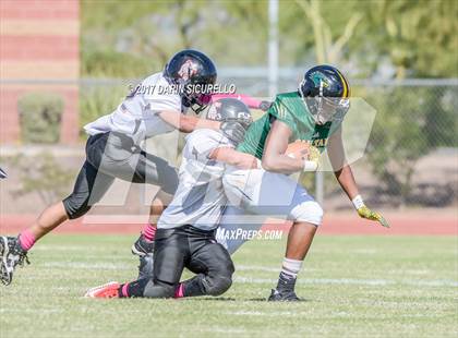 Thumbnail 3 in San Tan Charter vs. New Way Learning Academy (CAA State D1 Semifinals) photogallery.