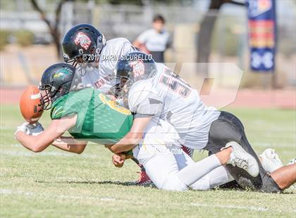 Thumbnail 3 in San Tan Charter vs. New Way Learning Academy (CAA State D1 Semifinals) photogallery.