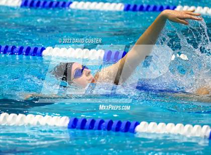 Thumbnail 1 in FCPS Swim and Dive Tri-Meet photogallery.