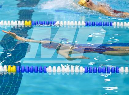 Thumbnail 3 in FCPS Swim and Dive Tri-Meet photogallery.