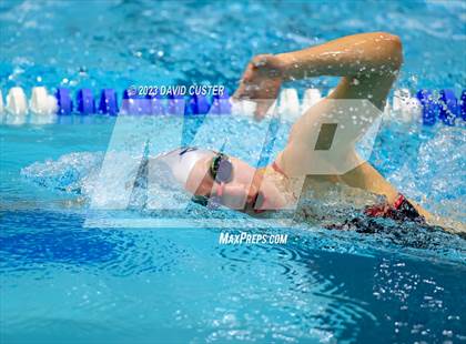 Thumbnail 1 in FCPS Swim and Dive Tri-Meet photogallery.