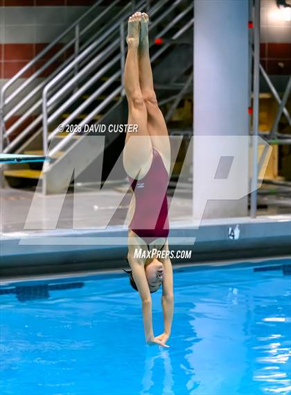 Thumbnail 2 in FCPS Swim and Dive Tri-Meet photogallery.