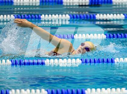 Thumbnail 3 in FCPS Swim and Dive Tri-Meet photogallery.