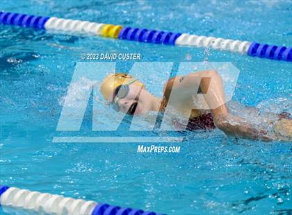 Thumbnail 2 in FCPS Swim and Dive Tri-Meet photogallery.