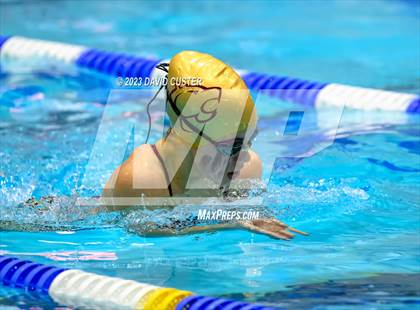 Thumbnail 3 in FCPS Swim and Dive Tri-Meet photogallery.