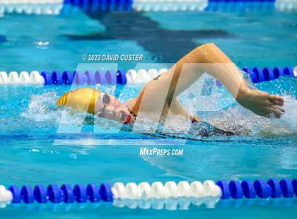 Thumbnail 3 in FCPS Swim and Dive Tri-Meet photogallery.