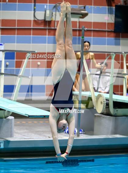Thumbnail 3 in FCPS Swim and Dive Tri-Meet photogallery.