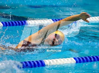 Thumbnail 2 in FCPS Swim and Dive Tri-Meet photogallery.