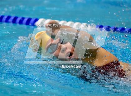 Thumbnail 2 in FCPS Swim and Dive Tri-Meet photogallery.