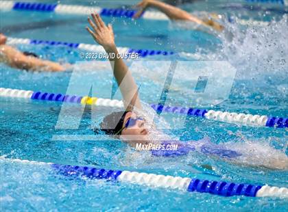 Thumbnail 1 in FCPS Swim and Dive Tri-Meet photogallery.