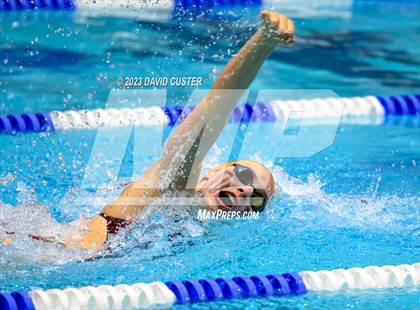 Thumbnail 1 in FCPS Swim and Dive Tri-Meet photogallery.