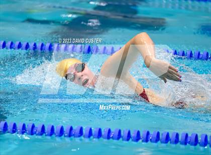Thumbnail 2 in FCPS Swim and Dive Tri-Meet photogallery.