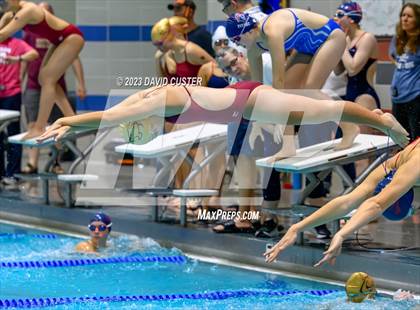 Thumbnail 1 in FCPS Swim and Dive Tri-Meet photogallery.