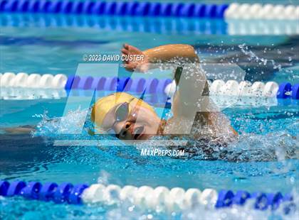 Thumbnail 3 in FCPS Swim and Dive Tri-Meet photogallery.