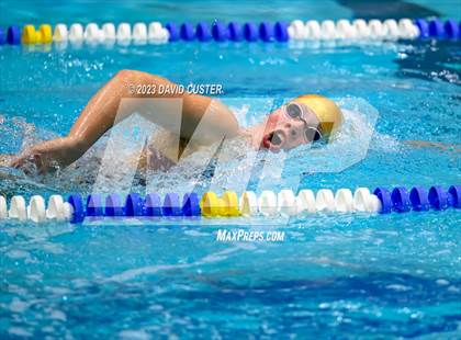 Thumbnail 1 in FCPS Swim and Dive Tri-Meet photogallery.