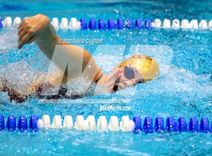 Thumbnail 3 in FCPS Swim and Dive Tri-Meet photogallery.