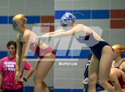 Thumbnail 1 in FCPS Swim and Dive Tri-Meet photogallery.