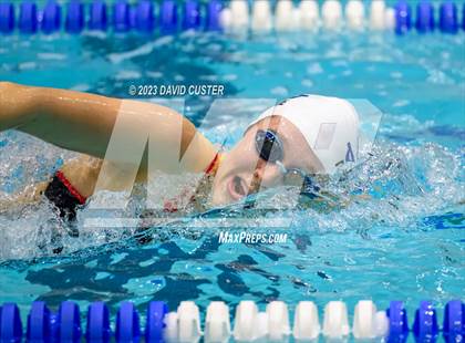 Thumbnail 1 in FCPS Swim and Dive Tri-Meet photogallery.