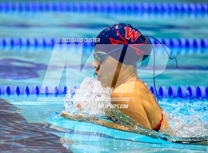 Thumbnail 1 in FCPS Swim and Dive Tri-Meet photogallery.