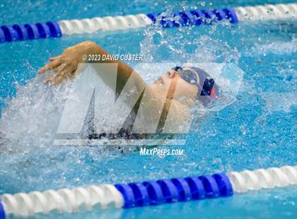 Thumbnail 2 in FCPS Swim and Dive Tri-Meet photogallery.