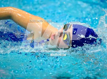 Thumbnail 1 in FCPS Swim and Dive Tri-Meet photogallery.