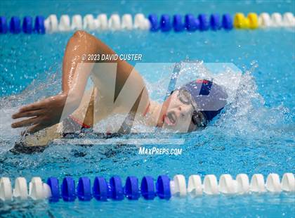 Thumbnail 2 in FCPS Swim and Dive Tri-Meet photogallery.