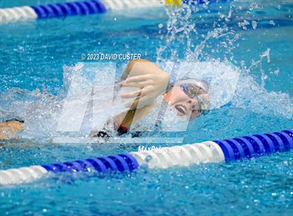 Thumbnail 3 in FCPS Swim and Dive Tri-Meet photogallery.