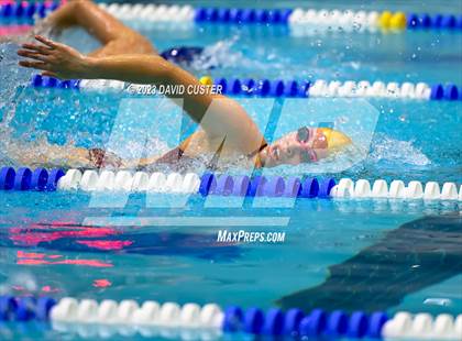 Thumbnail 3 in FCPS Swim and Dive Tri-Meet photogallery.