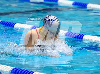 Thumbnail 2 in FCPS Swim and Dive Tri-Meet photogallery.